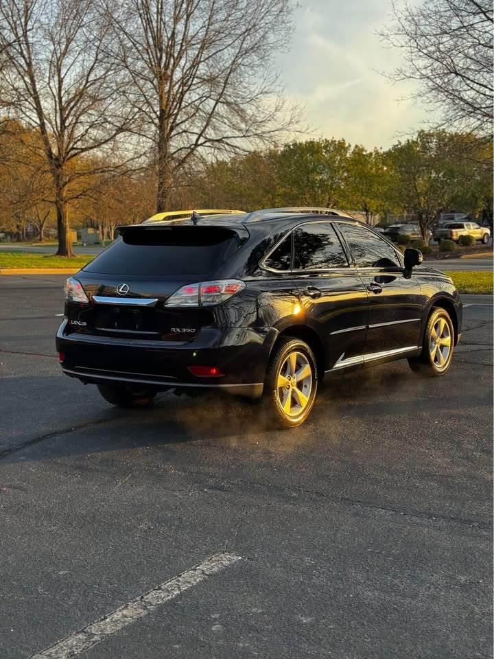 2010 Lexus RX 350 F SPORT photo 7