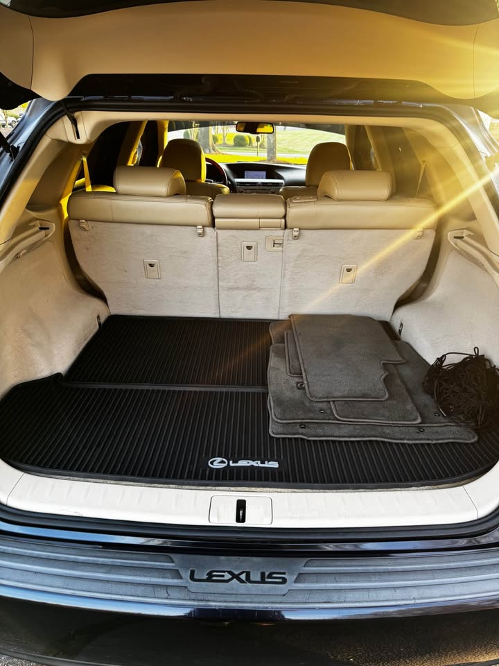 2010 Lexus RX 350 F SPORT photo 14