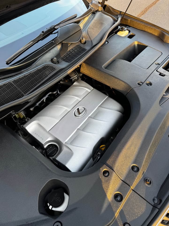 2010 Lexus RX 350 F SPORT photo 19