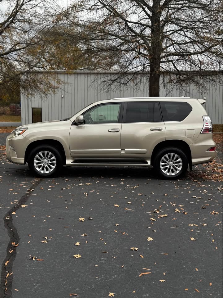 2014 Lexus GX 460 Premium photo 4