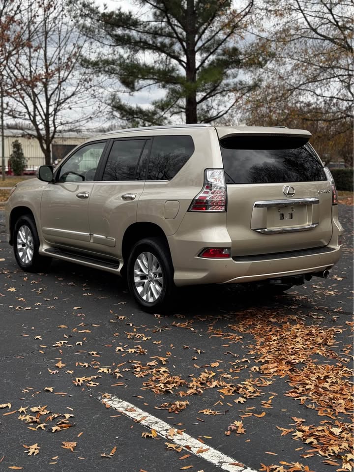 2014 Lexus GX 460 Premium photo 5