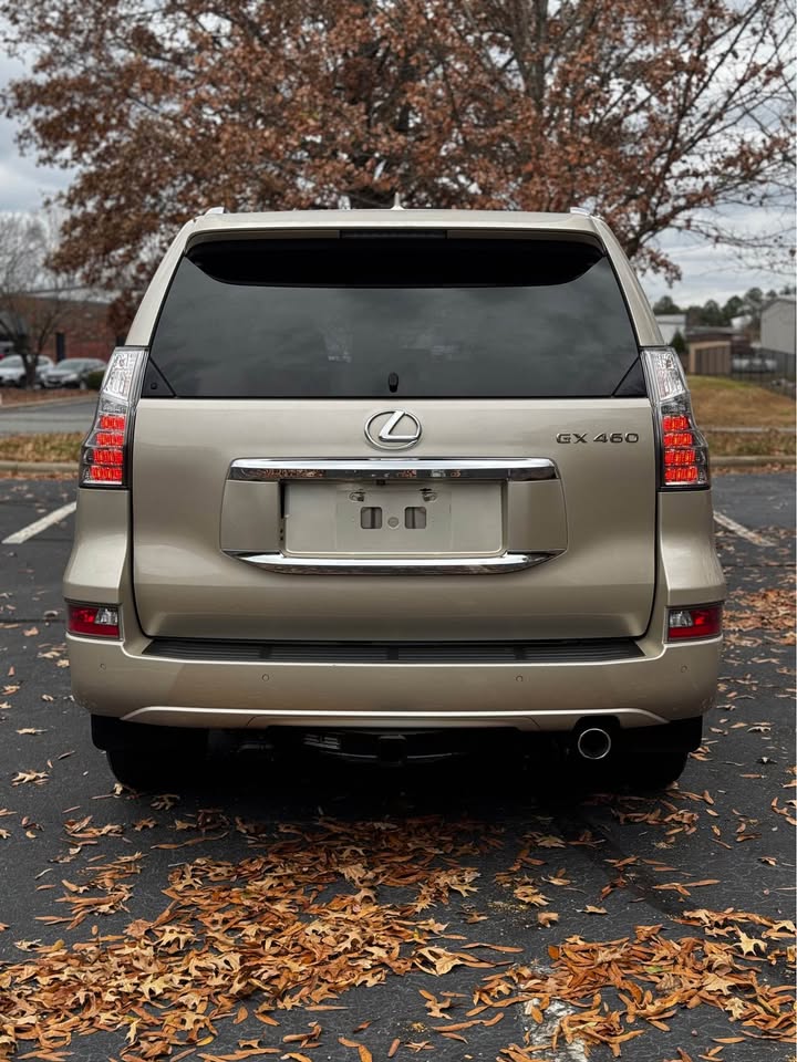 2014 Lexus GX 460 Premium photo 6