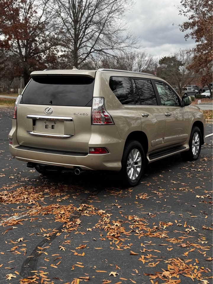 2014 Lexus GX 460 Premium photo 7