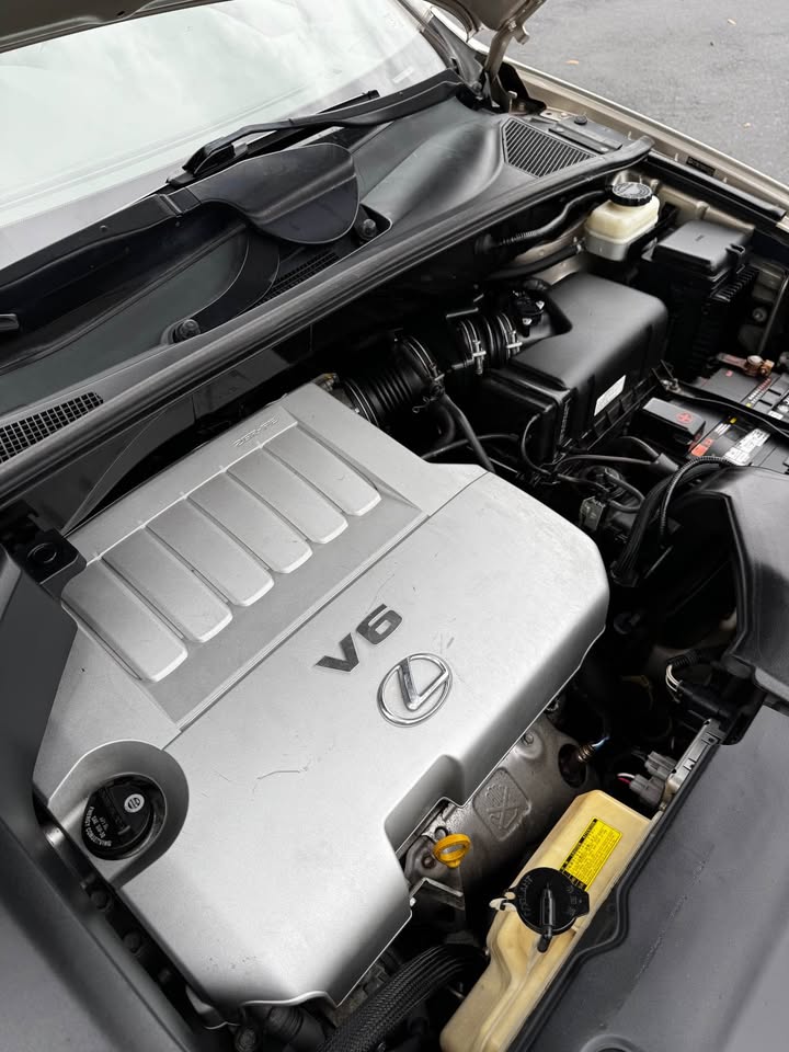 2008 Lexus RX 350 photo 17